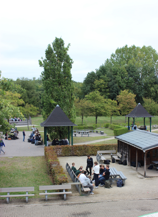 schoolomgeving Provinciale School Diepenbeek